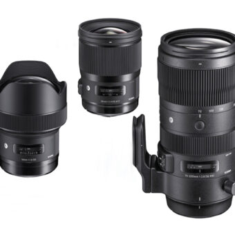 Sigma Trio für Vollformat