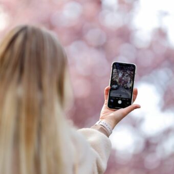 Eine Frau fotografiert Kirschblüten mit der Smartphone-Kamera