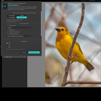 DxO Pure Raw 3 lässt sich als Plug-in in Lightroom Classic nutzen.