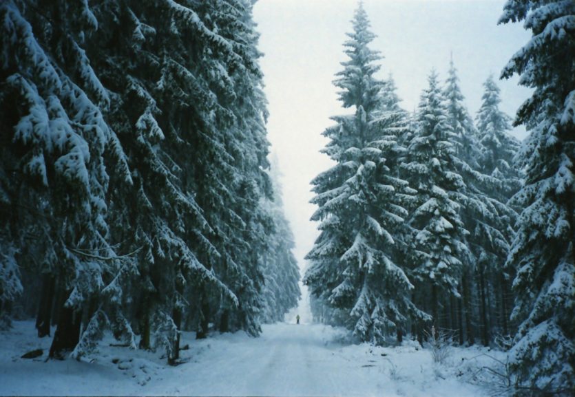 Winterfotografie: Fichtelgebirge_01