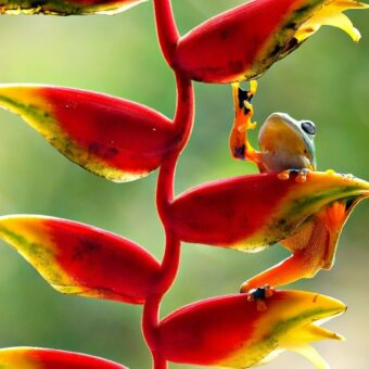 Die Schönheit der Natur im Bild einzufangen – darum geht es beim CEWE Photo Award, der auch in diesem Jahr wieder unter dem Motto „Our world is beautiful“ steht.