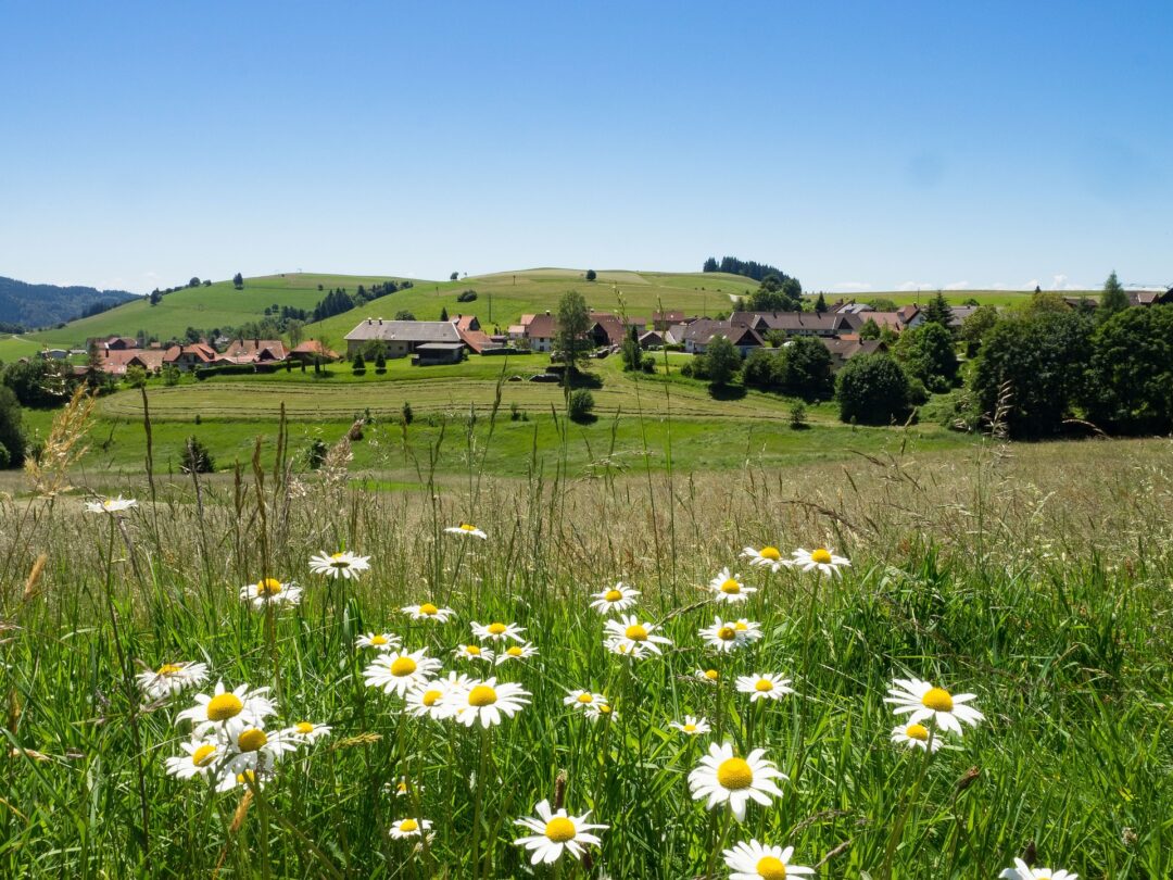 Hier finden Sie Tipps und Techniken für die perfekten Landschaftsbilder im Sommer - wie beispielsweise einen dominanten Vordergrund. Foto: © Marc Benedetti/Pixabay