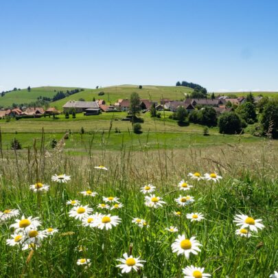 Hier finden Sie Tipps und Techniken für die perfekten Landschaftsbilder im Sommer - wie beispielsweise einen dominanten Vordergrund. Foto: © Marc Benedetti/Pixabay