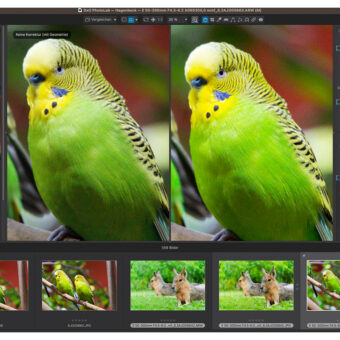 DxO PhotoLab 8 unterstützt das neue Rauschunterdrückungsverfahren DeepPRIME XD2s.