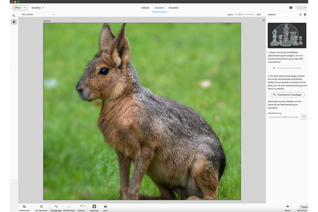 Ein Assistent hilft in Photoshop Elements 2025 dabei, eine geringe Schärfentiefe zu simulieren.