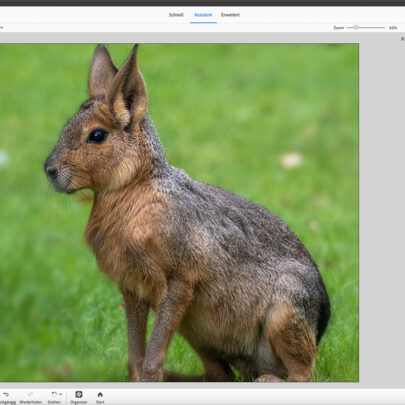 Ein Assistent hilft in Photoshop Elements 2025 dabei, eine geringe Schärfentiefe zu simulieren.