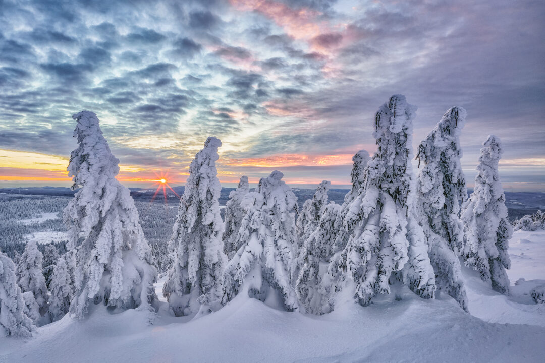 © Michael Kästner / HarzNATUR 2023