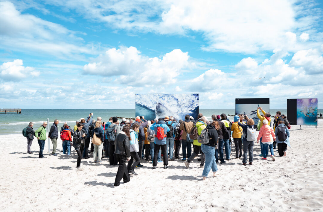 Eines von vielen Highlight im Terminkalender der Fotofestivals 2025: das Umweltfotofestival Horizonte Zingst.