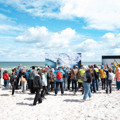 Eines von vielen Highlight im Terminkalender der Fotofestivals 2025: das Umweltfotofestival Horizonte Zingst.