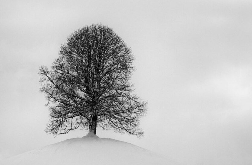 Schwarzweiß-Fotografie ist ein Spiel mit Lichtern und Kontrasten.