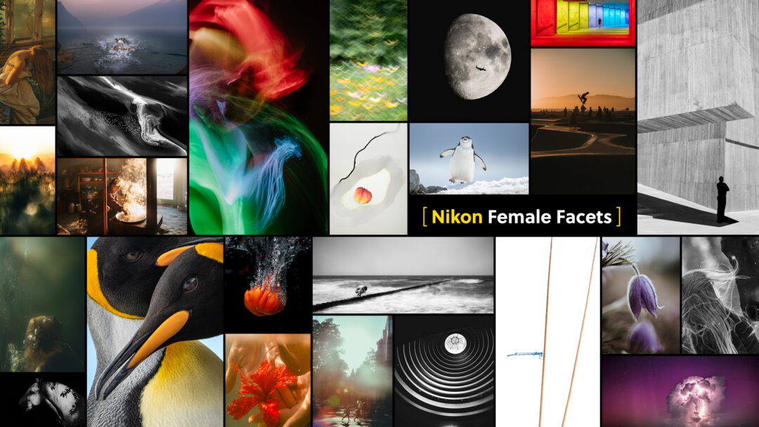 Die NIKON PLAZA SCHWEIZ zeigt ab dem 7. März 2025 eine Ausstellung der 25 Siegerbilder des Female Facets Fotowettbewerbs 2024.